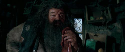 OdF-Potterish_5663.jpg