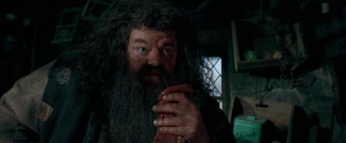 OdF-Potterish_5668.jpg