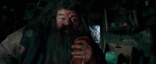 Click to view full size image
==============
OdF-Potterish_5669.jpg OdF-Potterish_5669.jpg