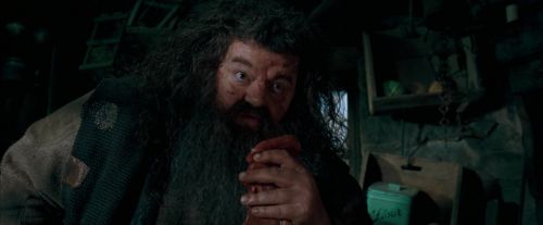 Click to view full size image
==============
OdF-Potterish_5671.jpg OdF-Potterish_5671.jpg