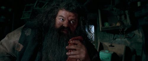 Click to view full size image
==============
OdF-Potterish_5675.jpg OdF-Potterish_5675.jpg