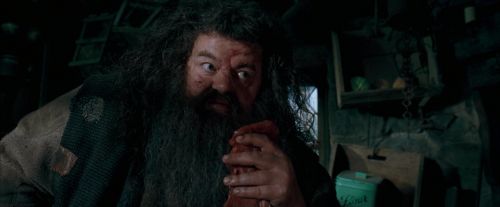Click to view full size image
==============
OdF-Potterish_5676.jpg OdF-Potterish_5676.jpg