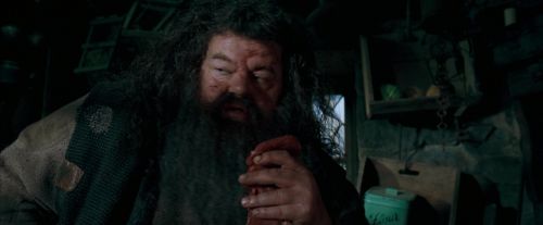 Click to view full size image
==============
OdF-Potterish_5677.jpg OdF-Potterish_5677.jpg