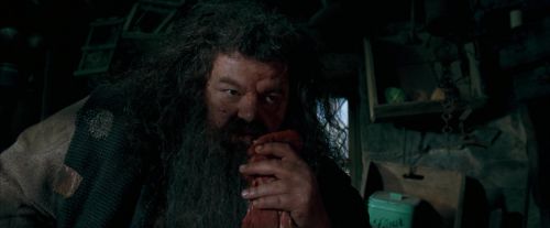 OdF-Potterish_5679.jpg