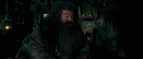 OdF-Potterish_5682.jpg
