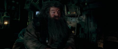 OdF-Potterish_5683.jpg