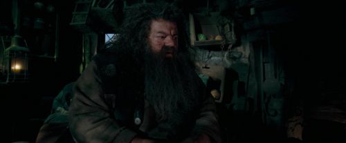 Click to view full size image
==============
OdF-Potterish_5684.jpg OdF-Potterish_5684.jpg