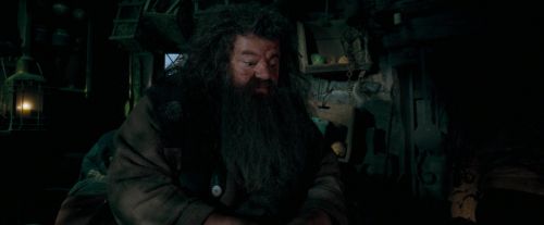 Click to view full size image
==============
OdF-Potterish_5686.jpg OdF-Potterish_5686.jpg
