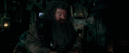 Click to view full size image
==============
OdF-Potterish_5687.jpg OdF-Potterish_5687.jpg
