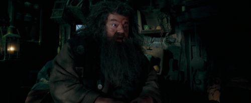Click to view full size image
==============
OdF-Potterish_5688.jpg OdF-Potterish_5688.jpg