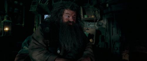 Click to view full size image
==============
OdF-Potterish_5689.jpg OdF-Potterish_5689.jpg