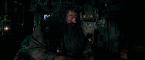 OdF-Potterish_5690.jpg