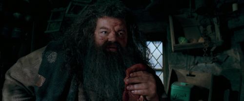 OdF-Potterish_5694.jpg