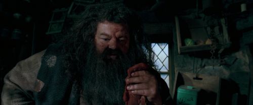 OdF-Potterish_5695.jpg