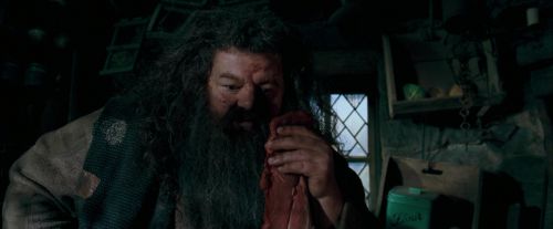 Click to view full size image
==============
OdF-Potterish_5696.jpg OdF-Potterish_5696.jpg