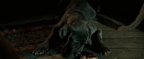 OdF-Potterish_5700.jpg