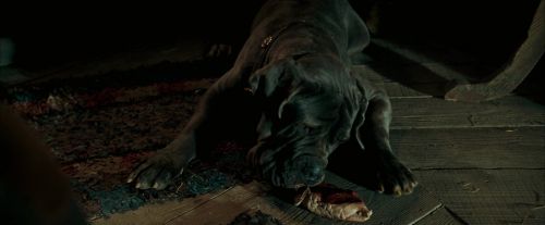 Click to view full size image
==============
OdF-Potterish_5701.jpg OdF-Potterish_5701.jpg