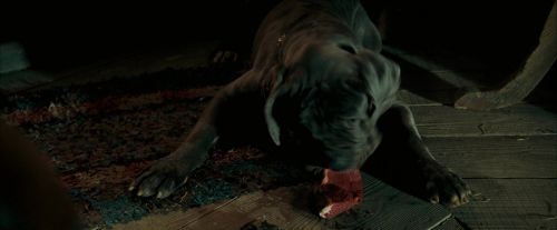 Click to view full size image
==============
OdF-Potterish_5702.jpg OdF-Potterish_5702.jpg