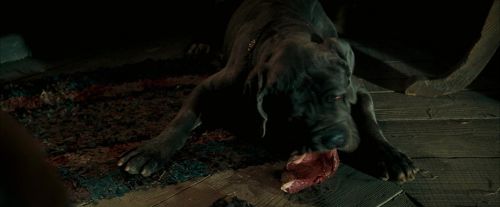 Click to view full size image
==============
OdF-Potterish_5703.jpg OdF-Potterish_5703.jpg