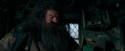 Click to view full size image
==============
OdF-Potterish_5704.jpg OdF-Potterish_5704.jpg