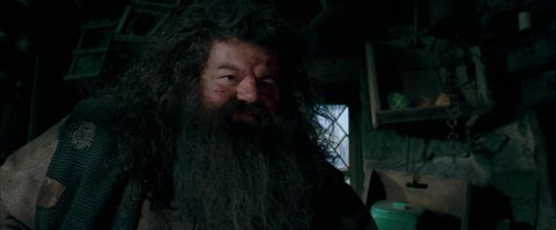 Click to view full size image
==============
OdF-Potterish_5705.jpg OdF-Potterish_5705.jpg