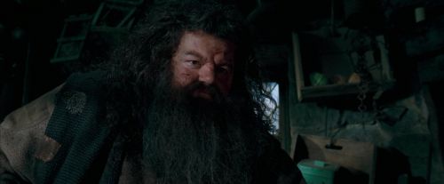 Click to view full size image
==============
OdF-Potterish_5711.jpg OdF-Potterish_5711.jpg