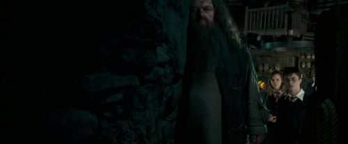 Click to view full size image
==============
OdF-Potterish_5717.jpg OdF-Potterish_5717.jpg