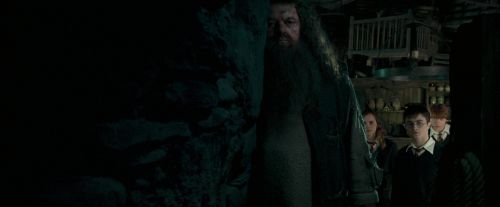 Click to view full size image
==============
OdF-Potterish_5718.jpg OdF-Potterish_5718.jpg