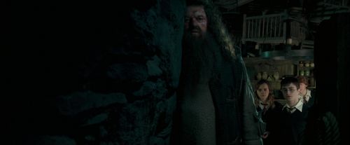 Click to view full size image
==============
OdF-Potterish_5719.jpg OdF-Potterish_5719.jpg
