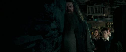 OdF-Potterish_5720.jpg
