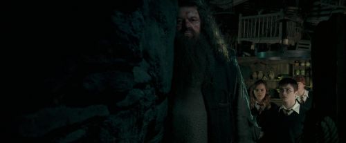 Click to view full size image
==============
OdF-Potterish_5721.jpg OdF-Potterish_5721.jpg