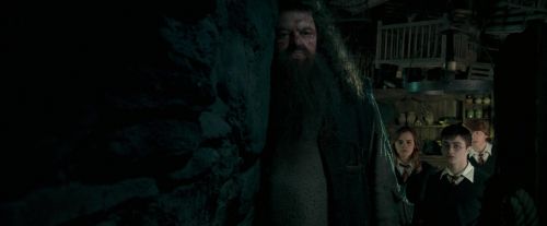 OdF-Potterish_5722.jpg