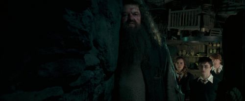 OdF-Potterish_5723.jpg