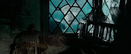 OdF-Potterish_5724.jpg