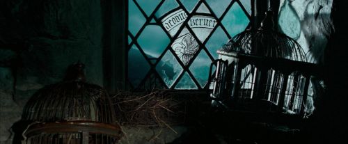 Click to view full size image
==============
OdF-Potterish_5725.jpg OdF-Potterish_5725.jpg