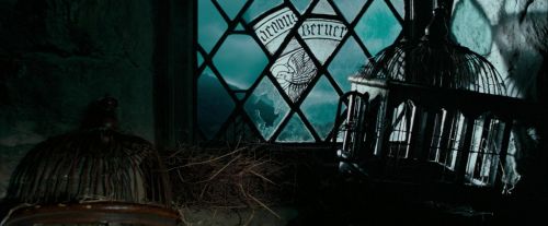 Click to view full size image
==============
OdF-Potterish_5726.jpg OdF-Potterish_5726.jpg