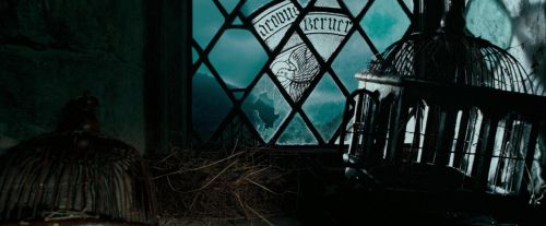 Click to view full size image
==============
OdF-Potterish_5727.jpg OdF-Potterish_5727.jpg