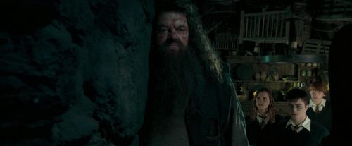 Click to view full size image
==============
OdF-Potterish_5728.jpg OdF-Potterish_5728.jpg