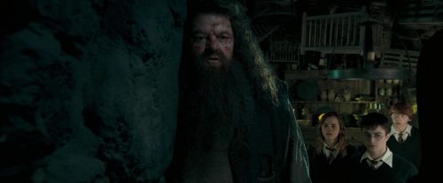 Click to view full size image
==============
OdF-Potterish_5729.jpg OdF-Potterish_5729.jpg