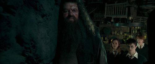 Click to view full size image
==============
OdF-Potterish_5730.jpg OdF-Potterish_5730.jpg