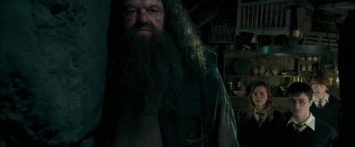 Click to view full size image
==============
OdF-Potterish_5731.jpg OdF-Potterish_5731.jpg