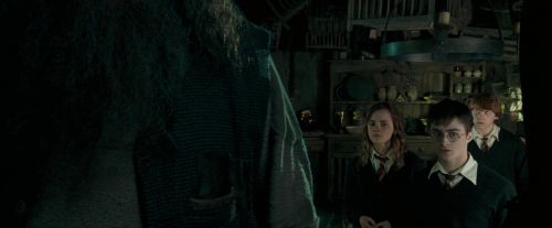OdF-Potterish_5733.jpg