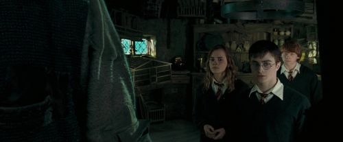 OdF-Potterish_5735.jpg