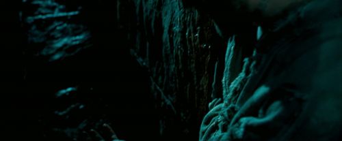Click to view full size image
==============
OdF-Potterish_5738.jpg OdF-Potterish_5738.jpg