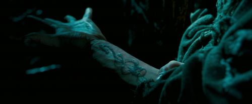Click to view full size image
==============
OdF-Potterish_5741.jpg OdF-Potterish_5741.jpg