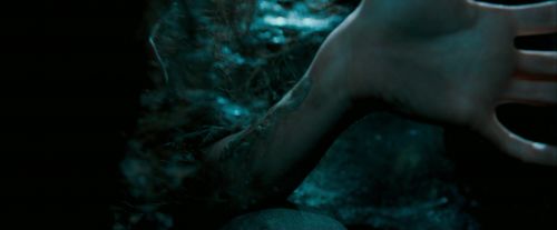 OdF-Potterish_5744.jpg