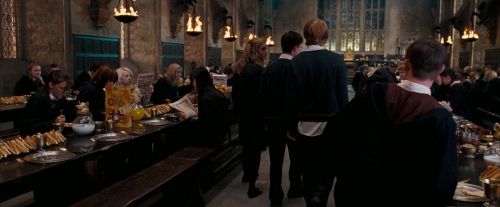 Click to view full size image
==============
OdF-Potterish_5833.jpg OdF-Potterish_5833.jpg