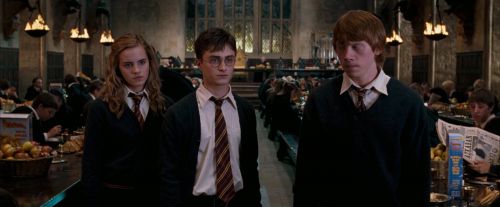 OdF-Potterish_5846.jpg