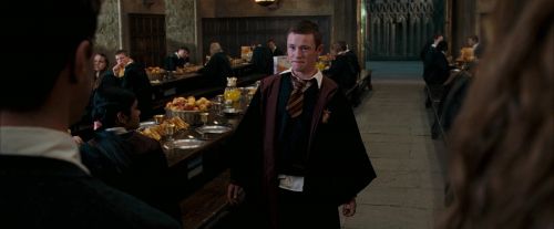 OdF-Potterish_5853.jpg