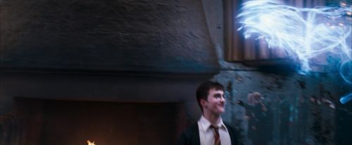 OdF-Potterish_5955.jpg